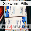 Silkworm Pills kamagra1